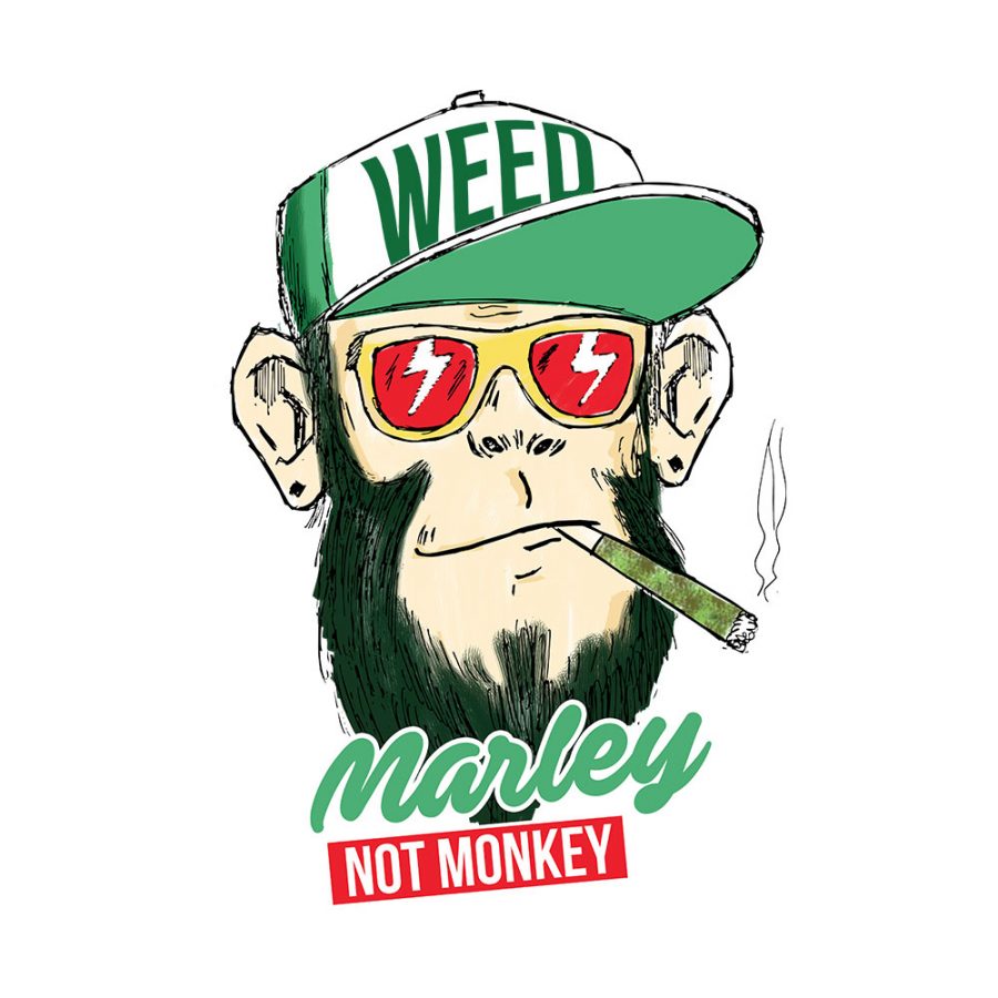 T-shirt Marley not monkey
