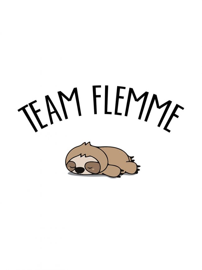 T-shirt Team flemme
