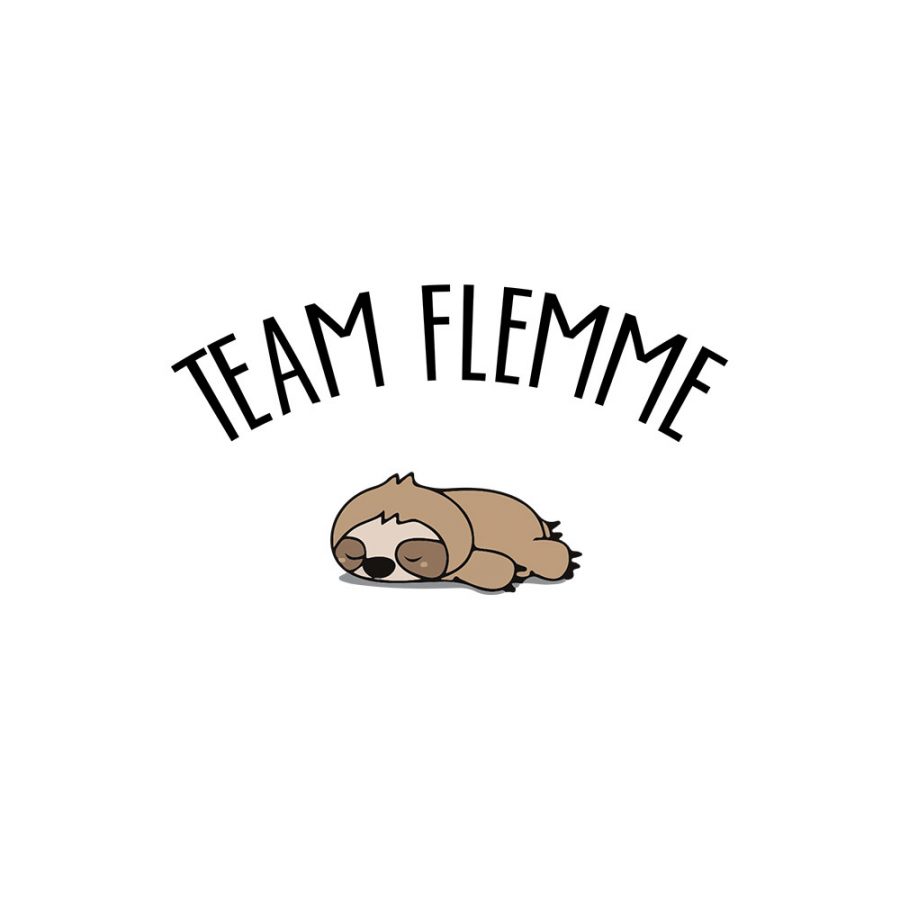 T-shirt Team flemme