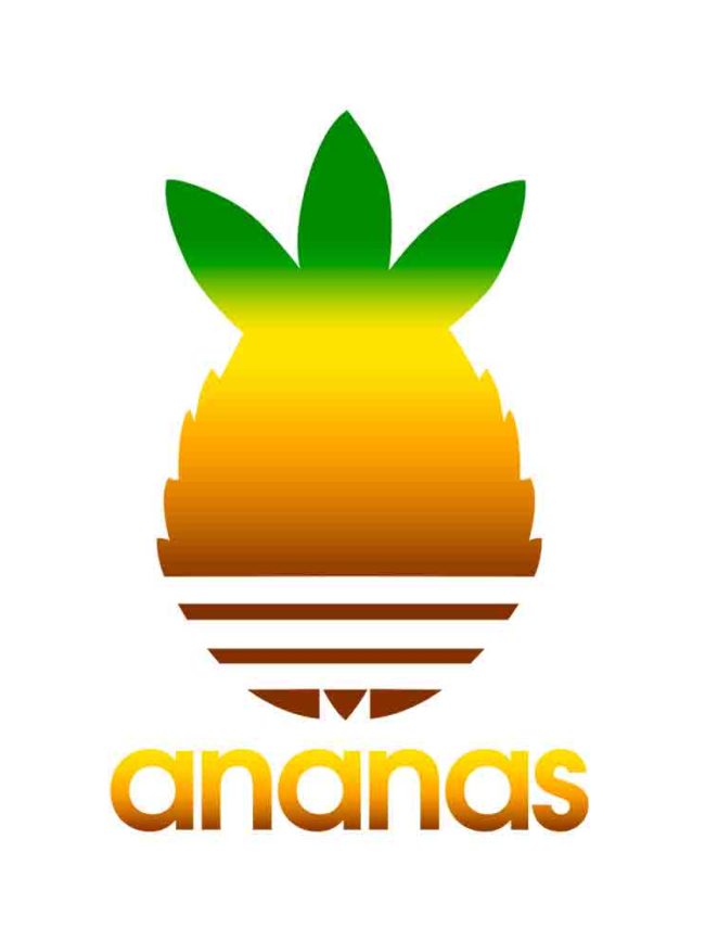 Pochette Ananas coloré